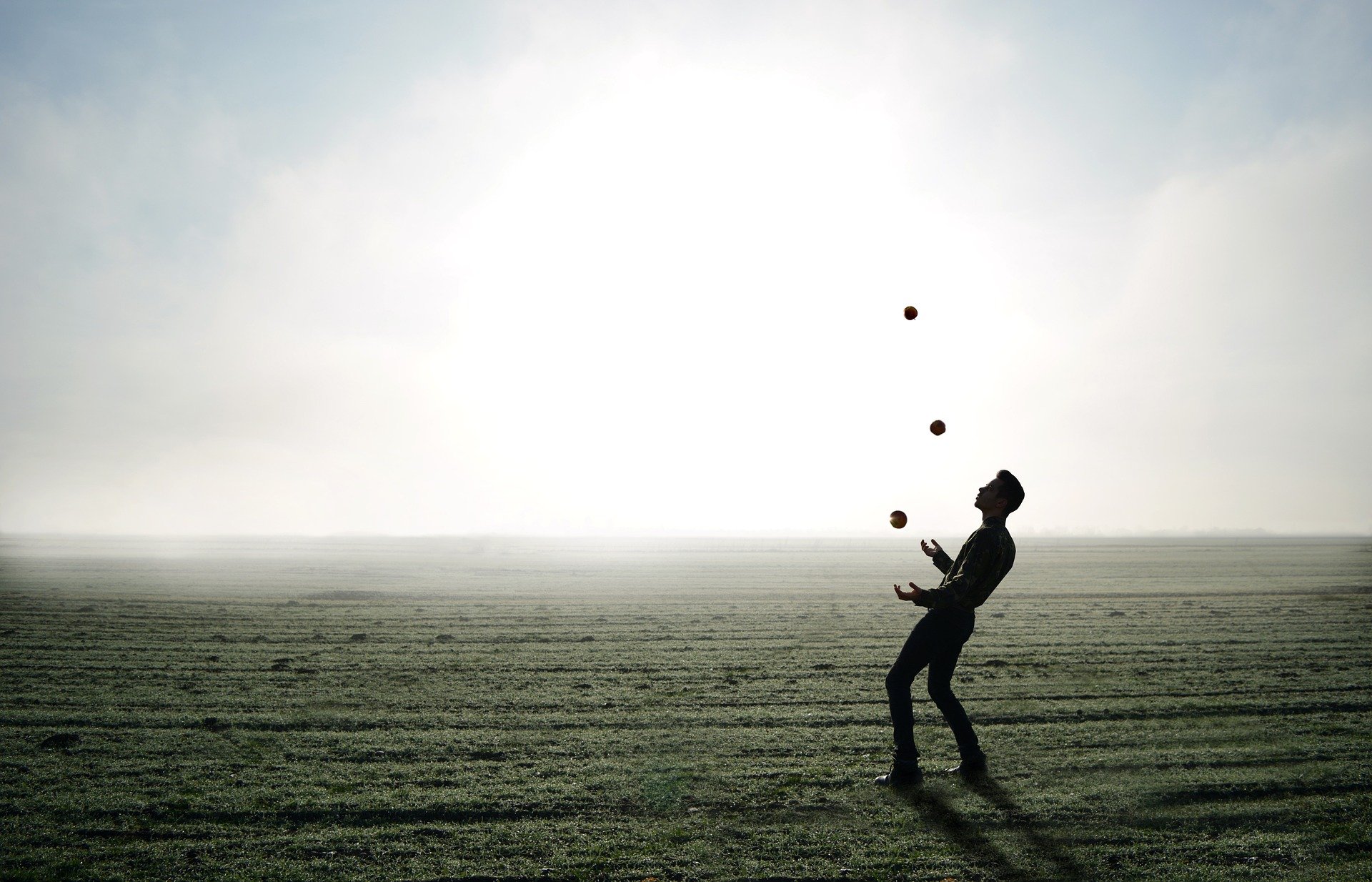 Camins - Valorisation de talents